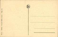 VINTAGE POSTCARD Ghent Castle of the counts de Flandre seen of the place co  Pharalide