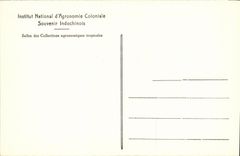 VINTAGE POSTCARD National institute D Colonial Agronomy Indochinese Souvenir Indo China Museum