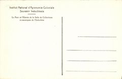 VINTAGE POSTCARD National institute D Colonial Agronomy Indochinese Souvenir Indo China Museum Park and entry of the collections