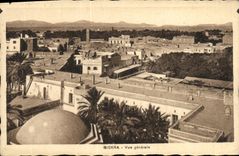 Opinion de Biskra de la POSTAL de la VENDIMIA