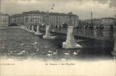 VINTAGE POSTCARD Geneva Gulls