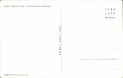 POSTAL Ercolano Veduta D una Cardine de la VENDIMIA