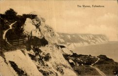 VINTAGE POSTCARD The Warren Folkestone