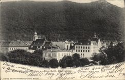 Gato del rumano del sorbo de Gimnas de la POSTAL de la VENDIMIA