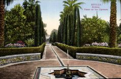 VINTAGE POSTCARD Sevilla Alcazar Paseo of los Cipreses