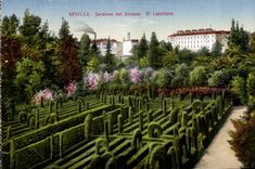 VINTAGE POSTCARD Sevilla Garden LED Alcazar El Labirinto