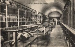 POSTAL Pompeya Interno del Museo de la VENDIMIA