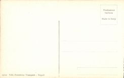 POSTAL Pompeya Interno del Museo de la VENDIMIA