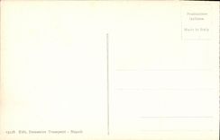 POSTAL Pompeya de la VENDIMIA via catarata del delle