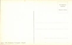 POSTAL Pompeya Tempio di Giove de la VENDIMIA