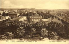 VINTAGE POSTCARD Tunis the Residence has Vol D Oiseau
