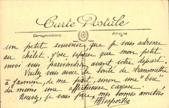 VINTAGE POSTCARD Tunis the Residence has Vol D Oiseau