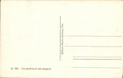 Opinion de Fes de la POSTAL de la VENDIMIA y sus paredes