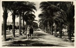VINTAGE POSTCARD Palma de Mallorca Paseo de Sagrera