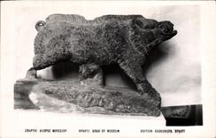 VINTAGE POSTCARD Sparti Boar off Museum Wild boar