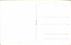 VINTAGE POSTCARD Sparti Boar off Museum Wild boar