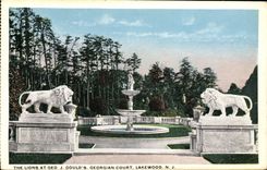 VINTAGE POSTCARD Gould S Gergian Short Lakewood the lions At Geo J Gould S