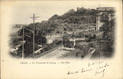 POSTAL Oran de la VENDIMIA la caminata de Letang