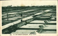 La POSTAL de la VENDIMIA enarena pantanos del agua salada de D Olonne