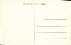 VINTAGE POSTCARD St Malo of Cezembre the Mulberry tree the headlight of the stone of the garden