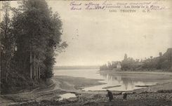 La POSTAL Troctin de la VENDIMIA dimensiona D Emeraude los bordes de el rancio