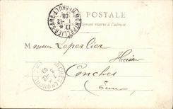 VINTAGE POSTCARD Montpellier Medical school and Cathedral