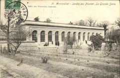 VINTAGE POSTCARD Montpellier Botanical garden the Large greenhouse