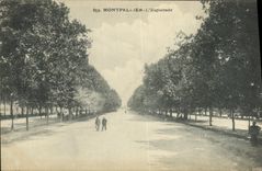 VINTAGE POSTCARD Montpellier L Esplanade