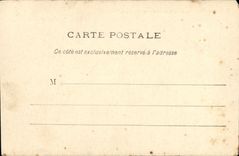 VINTAGE POSTCARD Taussat the Frank Pine