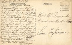 VINTAGE POSTCARD Arcachon Through the Pines