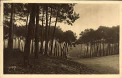 VINTAGE POSTCARD Charms Of the Dimension D Arcachon Money