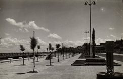 VINTAGE POSTCARD Dimension D Money Arcachon Fountain on the new boulevard Walk