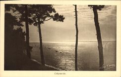 VINTAGE POSTCARD Dimension D Money Twilight