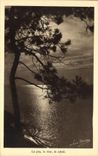 VINTAGE POSTCARD Arcachon Dimensions D Argent the Pine the Sea the Sun