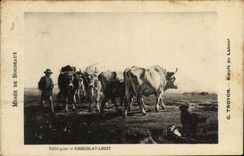 CPA Bordeaux L Troyon Boeufs au Labour