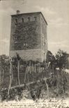 VINTAGE POSTCARD Allevard the Tower of the Winch
