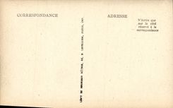 VINTAGE POSTCARD Langeais the Castle the Large Living room or Room D Anne of Brittany the chimney