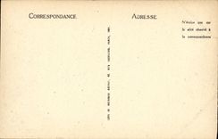 CPA Loches Le Chateau Royal La Porte des cordeliers et la Collegiale