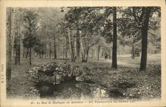 CPA Le Bois de Boulogne en Automne Du Palmarium au Grand Lac
