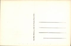 VINTAGE POSTCARD Holy Cloud Slopes Avenue of Longchamp