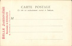 CPA Souvenir de la Belle Jardiniere Bordeaux Le Vieux Paris Le chatelet