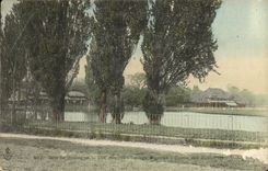 VINTAGE POSTCARD Paris Bois de Boulogne the acacias Shootings with the pigeons