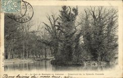 VINTAGE POSTCARD Paris the Bois de Boulogne in Fall Tank of Large