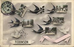 CPA Robinson Hirondelles