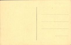 VINTAGE POSTCARD Zoological gardens De Cleres Cignes have black collar Cygne Zoo