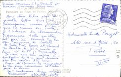 VINTAGE POSTCARD Normandy Apple trees in Flowers and Pear trees Cows