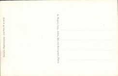 VINTAGE POSTCARD Boat Bold War HMS Dreadnought