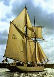 CPM Bateau La belle Poule 