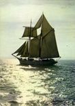 CPM Bateau Une barque aux voiles blanches