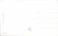 VINTAGE POSTCARD Fantasy Bachelor Children